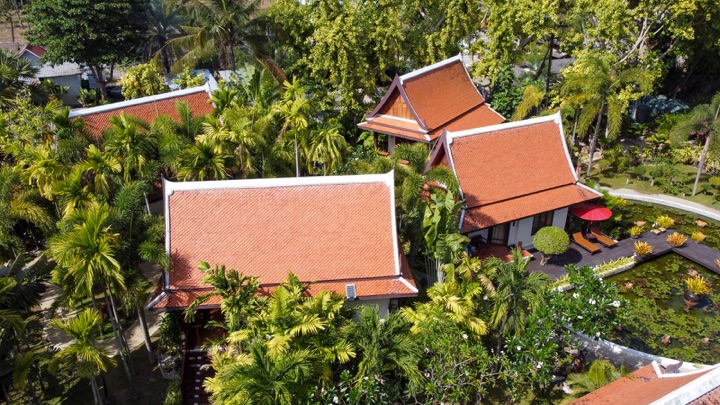 Aerial view of orange-tiled Thai villa roofs rising out of dense palm gardens beside a lotus pond