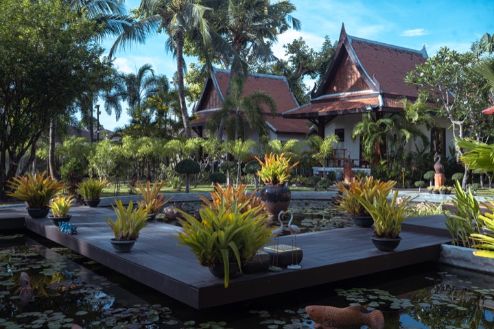 Wooden deck with potted bromeliads over a lily pond, with Thai-style villas and palms behind