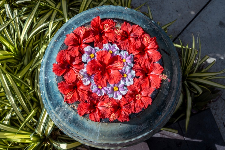 Top-down view of red hibiscus and purple flowers floating in a blue stone bowl