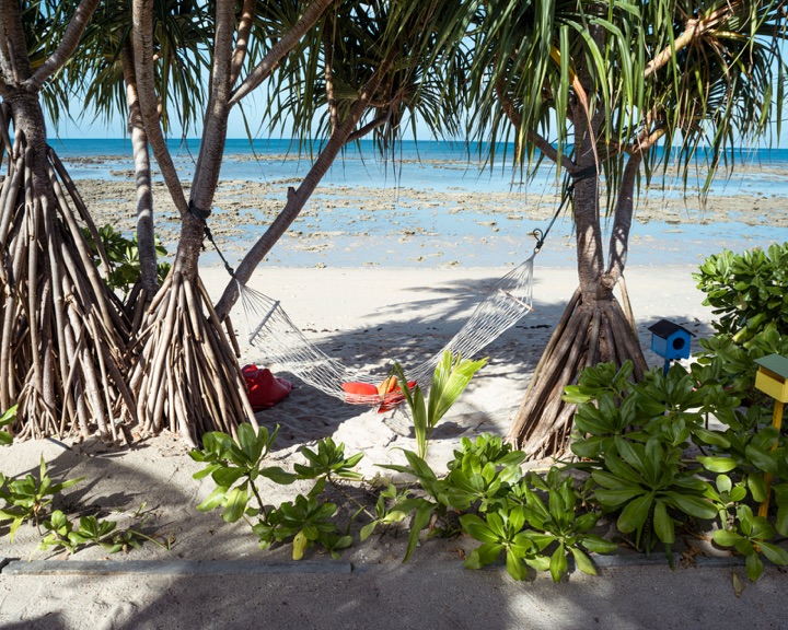 Rope hammock strung between pandanus trees on a white sand beach at low tide