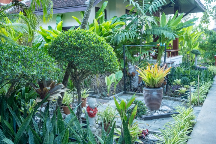 Lush garden bed with a clipped tree, potted bromeliads and a small stone figure wearing a flower garland