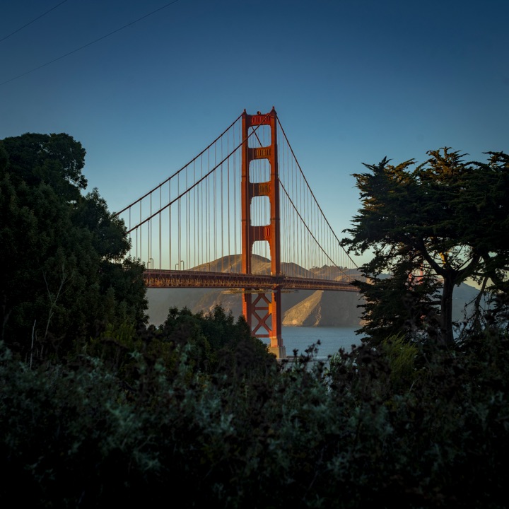 Golden Gate Bridge framed by trees at sunset