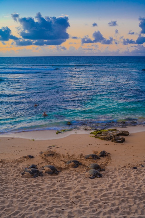 Tropical beach with turquoise water under a cloudy sky